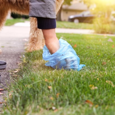 DOG POOP SCOOPING